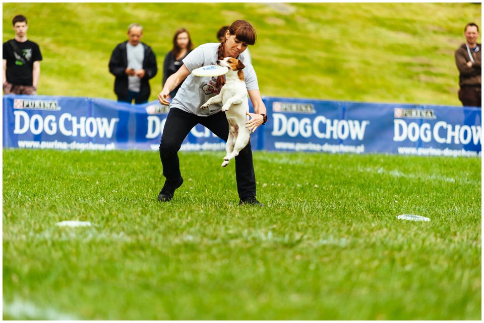 DOGFRISBEE TO ZABAWA - Hodowla Jack Russell Terrier Z Todrykowa. Jest to pierwszy artykuł z serii wpisów dotyczących dogfrisbee czyli psiego sportu opartego na łapaniu latających talerzyków.
Najpierw wypadałoby tprzedstawić siebie i przede wszystkim moje psy - nierozerwalną część mojego życia.