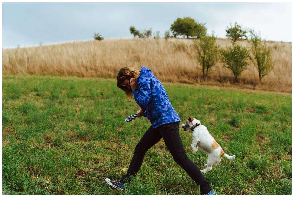 Jack Russell Terrier Dogfrisbee hodowla z Todrykowa