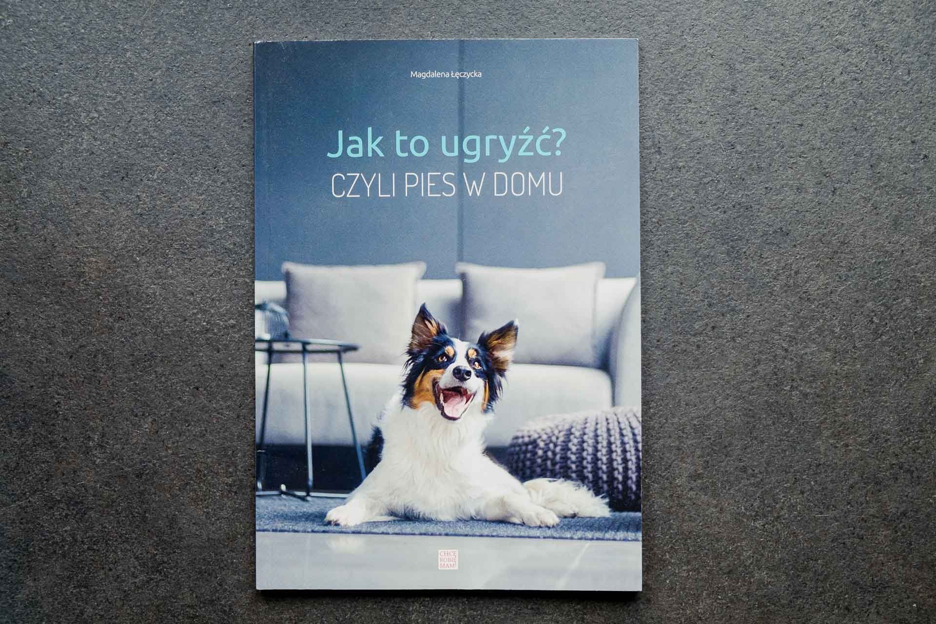 Hodowla Jack Russell Terrier z Todrykowa