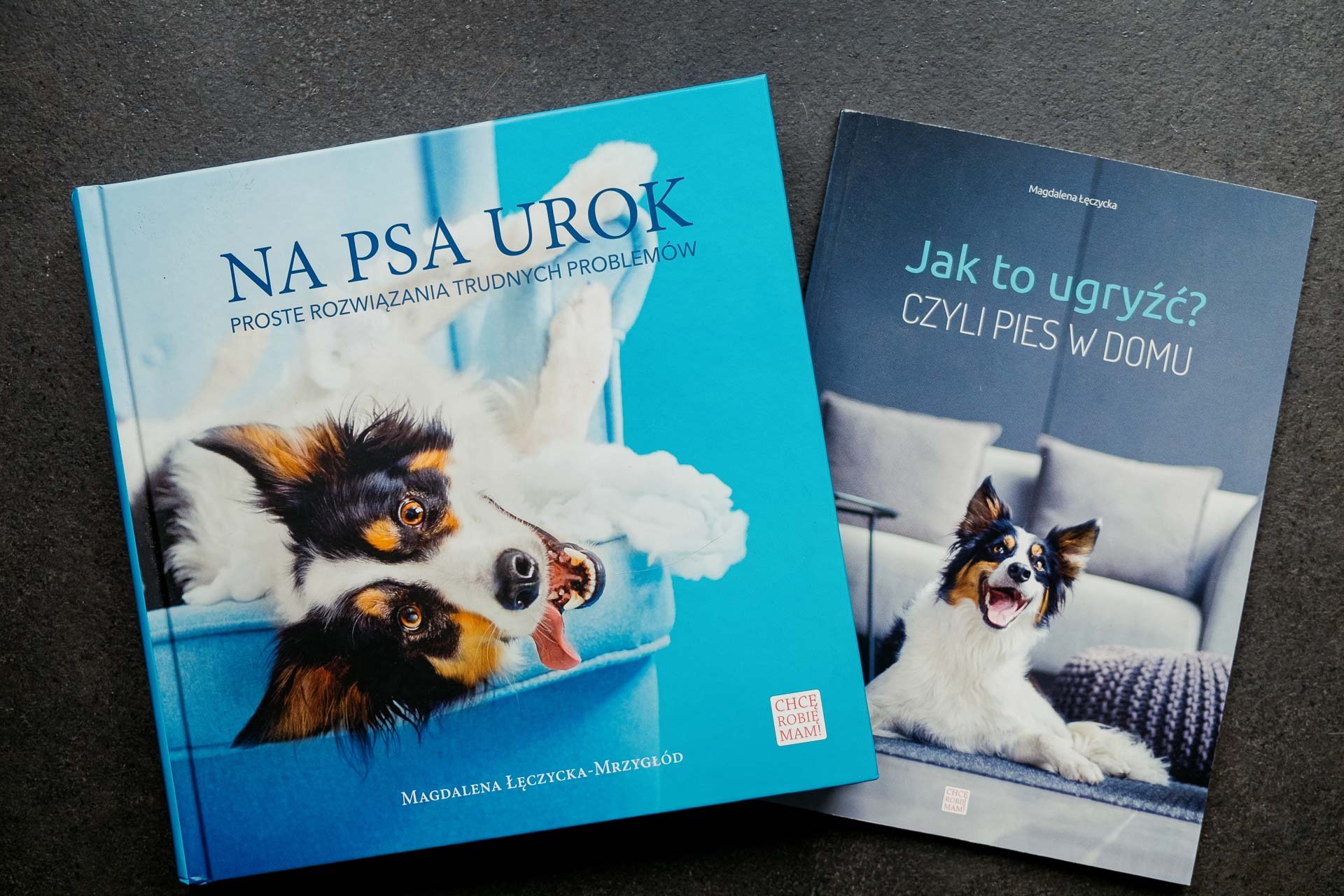 Hodowla Jack Russell Terrier z Todrykowa