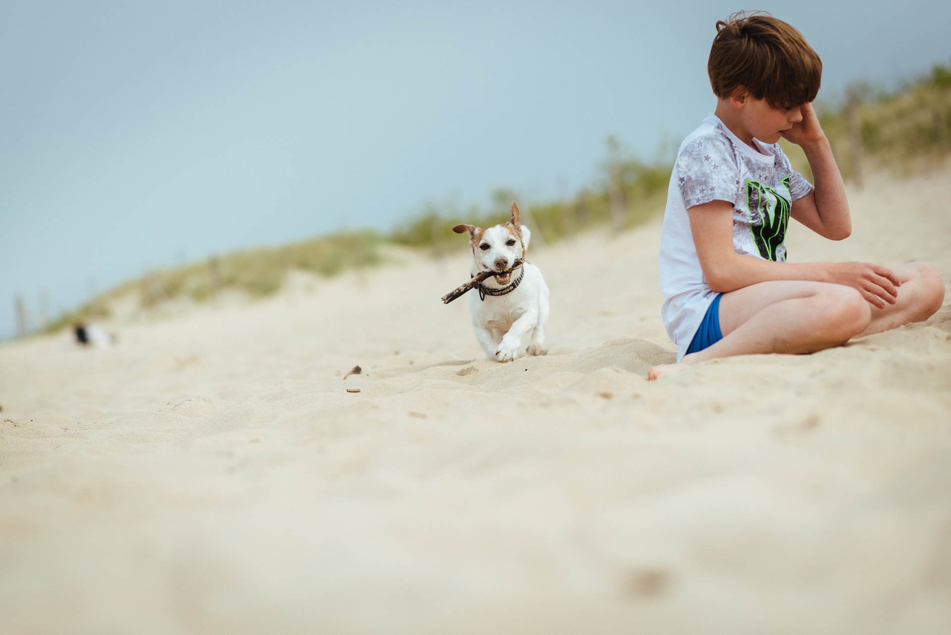 Hodowla Jack Russell Terrier z Todrykowa