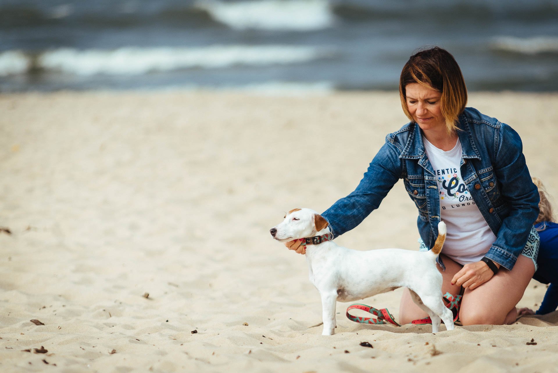 Hodowla Jack Russell Terrier z Todrykowa