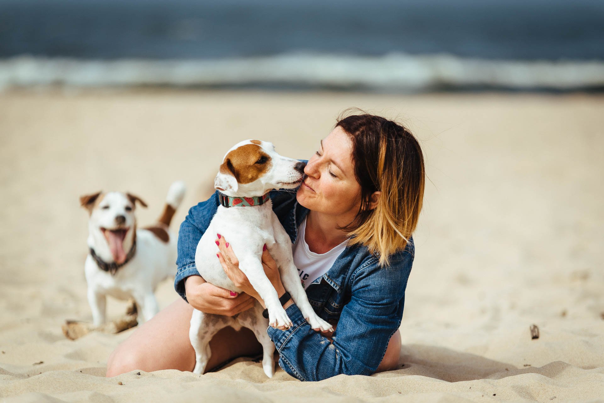 Hodowla Jack Russell Terrier z Todrykowa